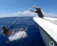 stuart fl fishing 32 20220930