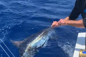 stuart fl fishing 39 20220930