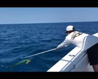 stuart fl fishing 41 20220930