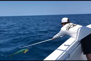 stuart fl fishing 41 20220930